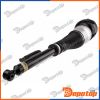 Amortisseur de suspension droite arrière pour MERCEDES | A-ME-072, 2223205213